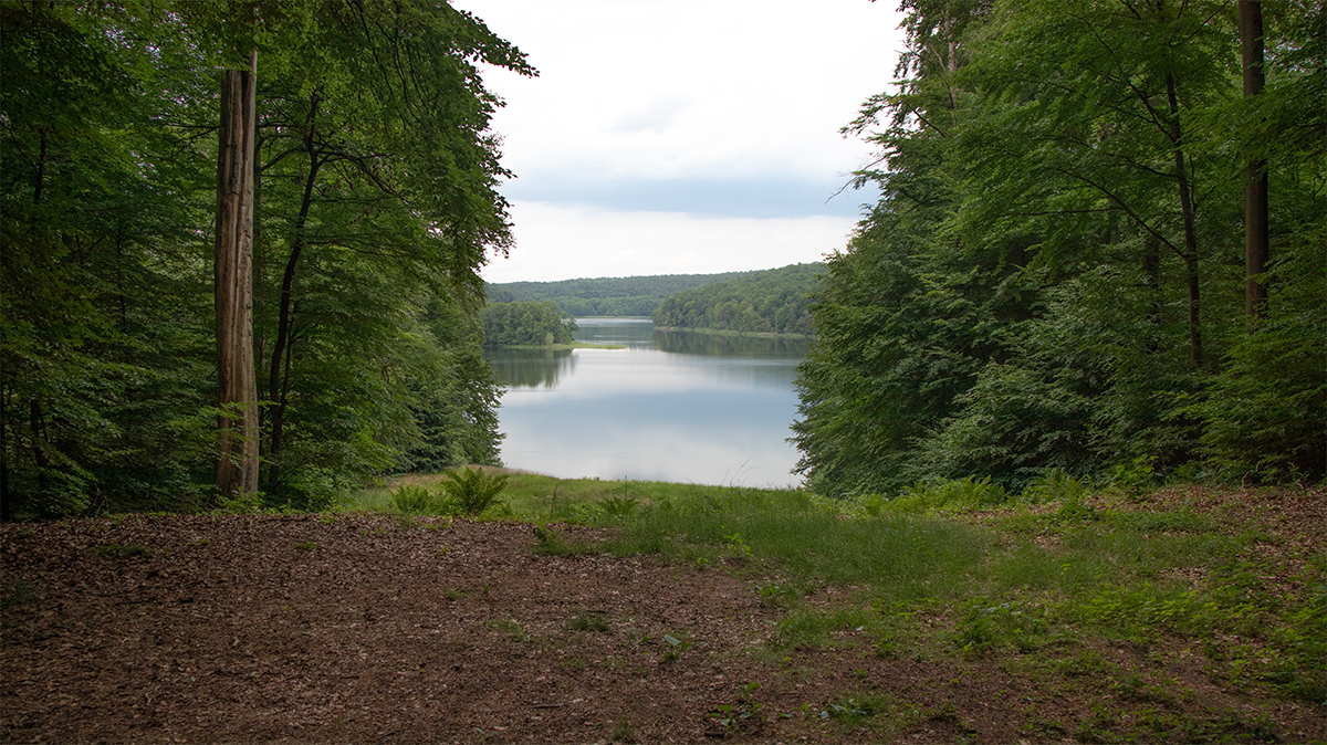 Zanderblick bei Rottstiel und Tornowsee in der Ruppiner Schweiz bei 53.0218267, 12.7893383 mit Nähe zu Waldmuseum Stendenitz und Kunsterspring.