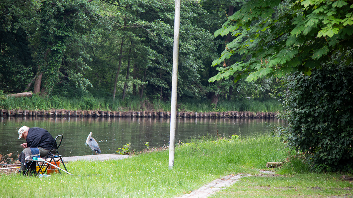 Ruhiges Ufer am Rhin in Alt Ruppin bei 52.9463750, 12.8453083 mit naturnaher Wasserlandschaft, Erholungscharakter und möglicher Beobachtung von Fischreihern.